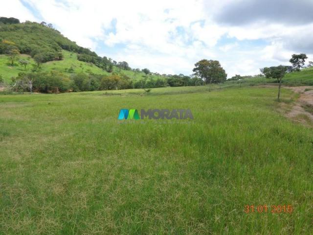 Fazenda à venda - 1.180 hectares - região jequitibá (mg)