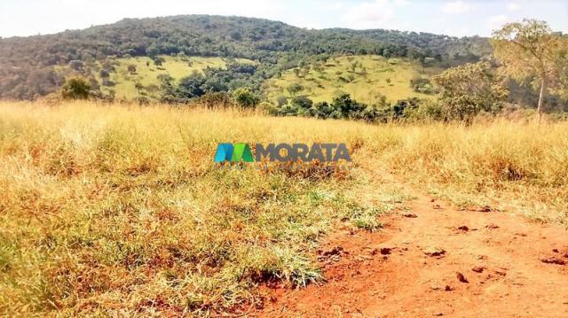 FAZENDA À VENDA - 187 HECTARES - ONÇA DO PITANGUI (MG) - Foto 11