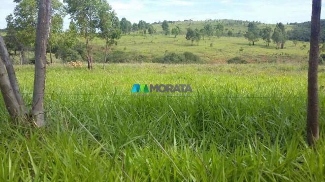 Fazenda à venda - 163 hectares - paraopeba (mg) - Foto 12