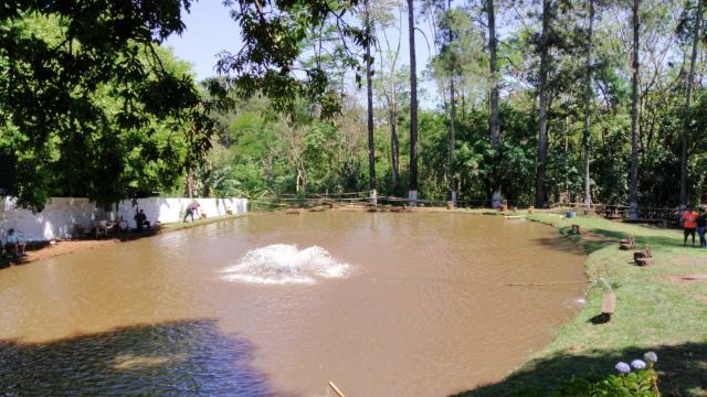 Passo o ponto comercial pesqueiro pesque e pague restaurante oportunidade - Foto 6