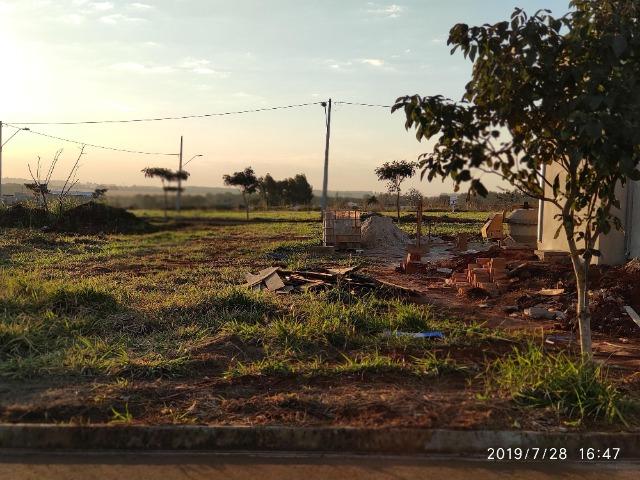 Terreno Cidade Jardim I - Foto 6