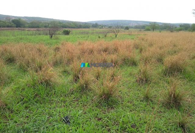 FAZENDA À VENDA - 55 HECTARES - REGIÃO DE PITANGUI (MG) - Foto 16
