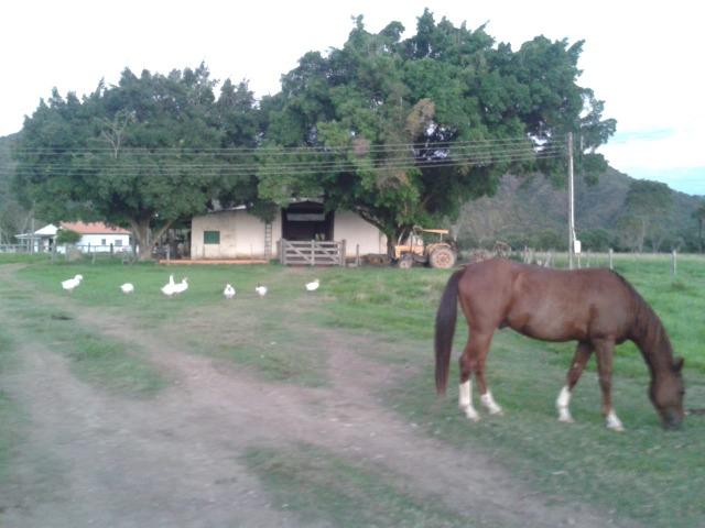 Fazenda - 981 Hectares - Cuiabá/MT - Foto 14