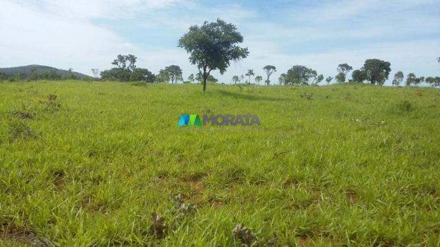 Fazenda à venda - 163 hectares - paraopeba (mg) - Foto 2