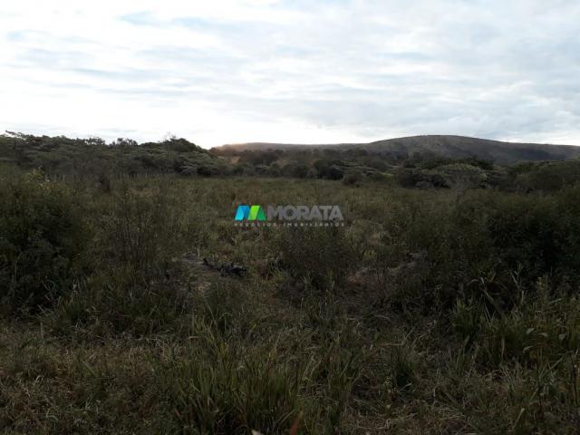 Fazendinha - 08 hectares - paraopeba (mg) - Foto 17