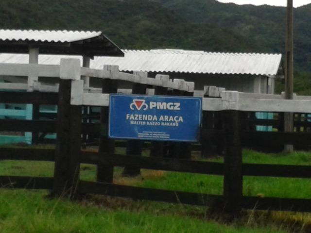 Fazenda - 981 Hectares - Cuiabá/MT