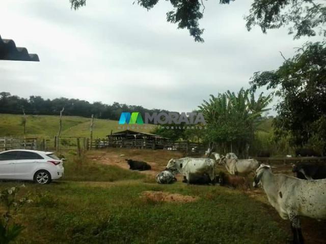 Fazenda - 59 hectares - bonfim (mg) - Foto 15