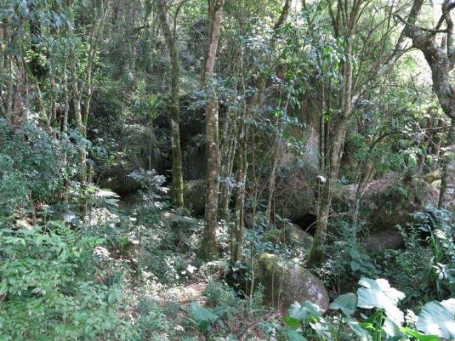 Chácara para Venda, 71.959,20 m², Piên / PR, bairro Poço Frio, 3 dormitórios - Foto 18