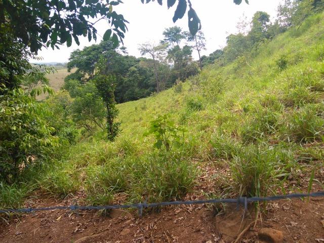 Sítio 40.000m2 em Casimiro de Abreu - Foto 4
