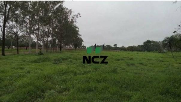 Fazenda à venda, 12620000 m² por r$ 22.000.000,00 - aeroporto - feira de santana/ba - Foto 14
