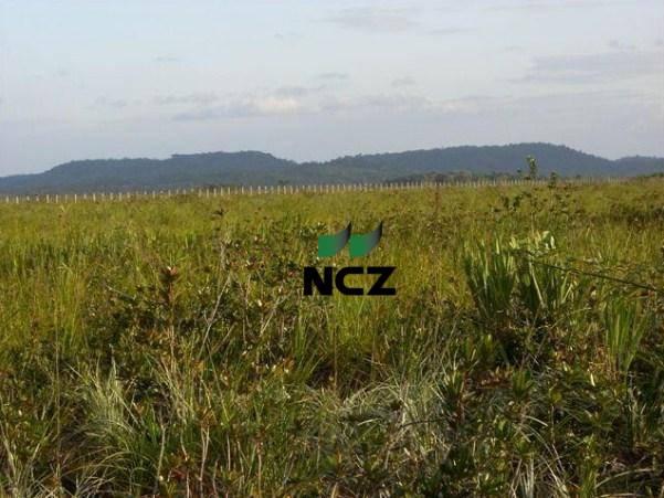 Fazenda à venda, 4080000 m² por r$ 5.000.000 - barra grande - maraú/ba - Foto 5