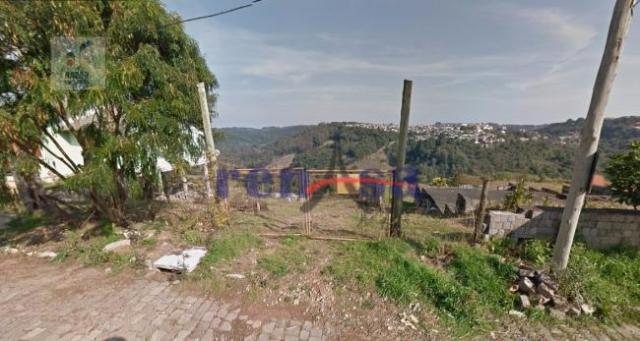 Terreno em caxias do sul