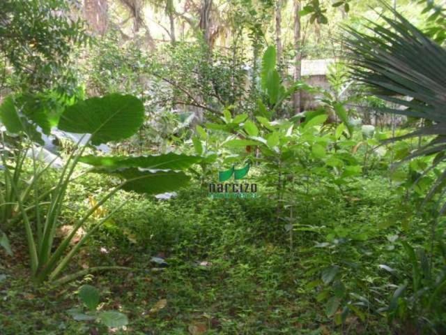 Casa residencial à venda, patamares, salvador - ca0948. - Foto 4