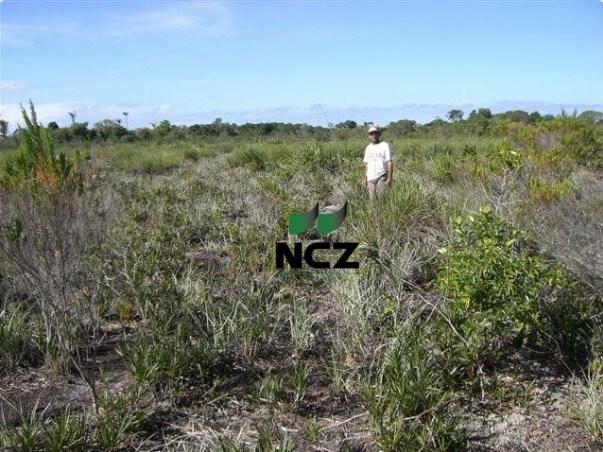Fazenda à venda, 4080000 m² por r$ 5.000.000 - barra grande - maraú/ba - Foto 18