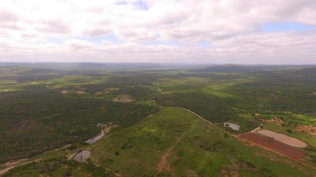 Fazenda Jaguaquara - Foto 2