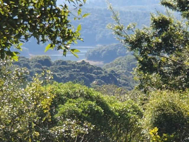 Chácara com lago - Foto 5