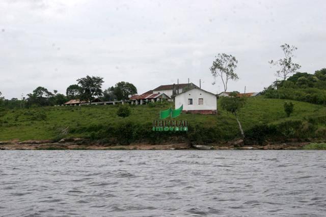 Fazenda rural à venda, são francisco, ilhéus. - Foto 2