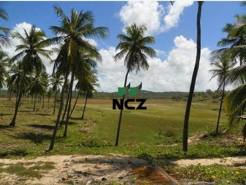 Fazenda à venda, 380000 m² por r$ 3.040.000 - litoral norte - jandaíra/ba - Foto 4