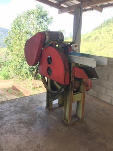 Terreno Cachaçaria / Alambique - Foto 3