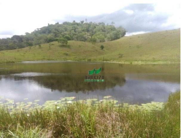 Linda fazenda à venda, 8000000 m² por r$ 6.300.000 - inocoop - itamaraju/ba