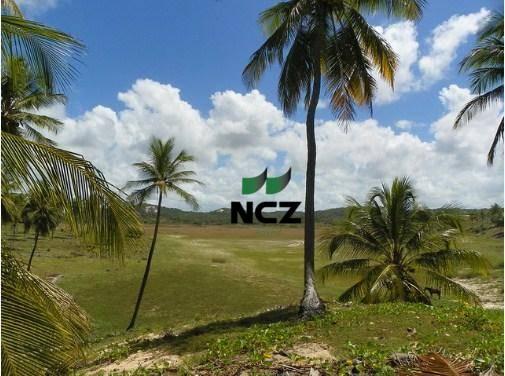 Fazenda à venda, 380000 m² por r$ 3.040.000 - litoral norte - jandaíra/ba - Foto 3