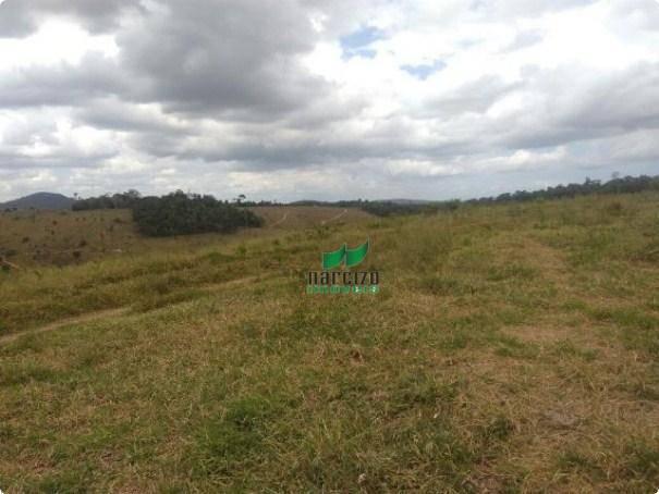 Linda fazenda à venda, 8000000 m² por r$ 6.300.000 - inocoop - itamaraju/ba - Foto 6