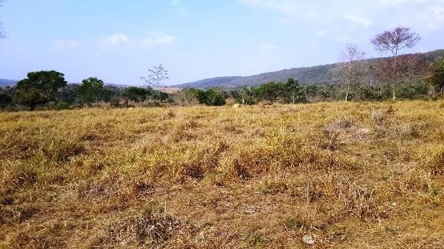 Fazenda 142 ha Serra de São Vicente MT - Foto 2