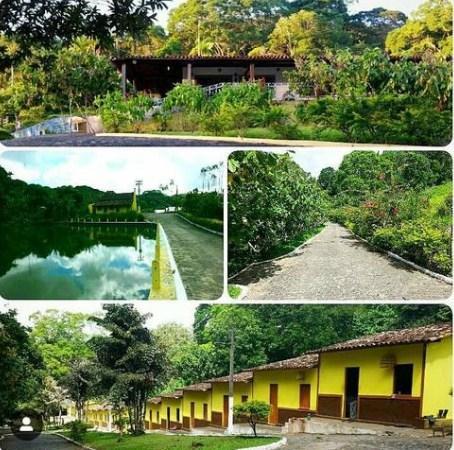 Lindíssima fazenda de cacau , 500 ha (cabruca, mata atlântica)