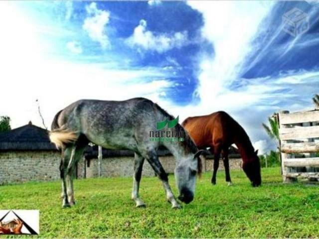 Fazenda rural à venda, dependência, una - fa0006. - Foto 4