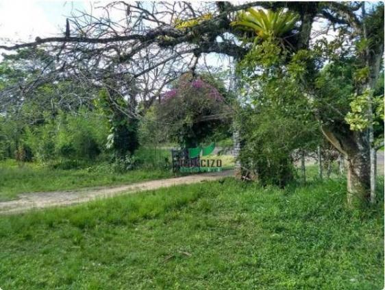 Fazenda à venda, 4190000 m² por r$ 5.600.000 - cidade nova - ilhéus/ba - Foto 3