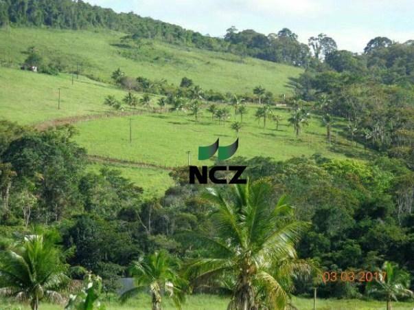 Fazenda à venda, 2780000 m² por r$ 3.000.000 - nova palma - gongogi/ba - Foto 5