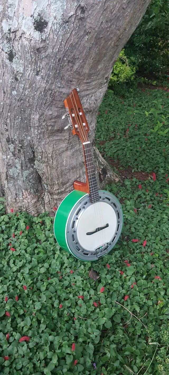 Banjo Color Rogério Santos  - Foto 4