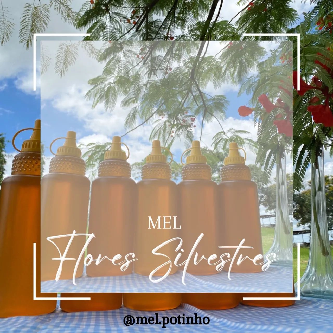 Mel de Flores Silvestres - Pote 1kg - Foto 2