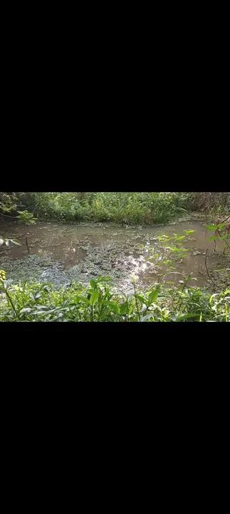 Terreno com área verde e lagoa em Bambus - Esmeraldas