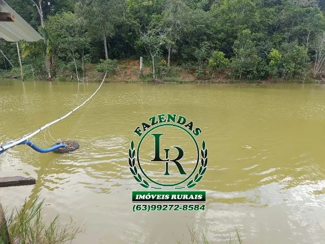 Fazenda 32 Alqueires Beira Asfalto - Próximo a Palmas - Foto 5
