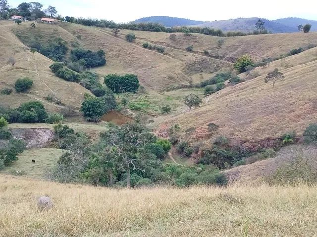Sítio 20 Alqueires em Caçapava - Com casa e ótimo para gado - Foto 3