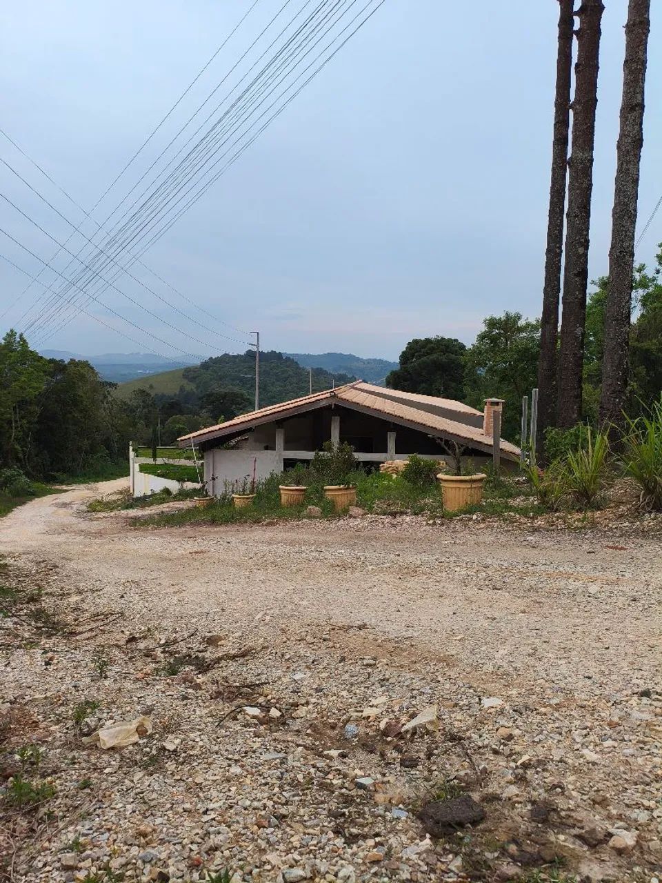 Foto - Almirante Tamandaré - Restinga Seca