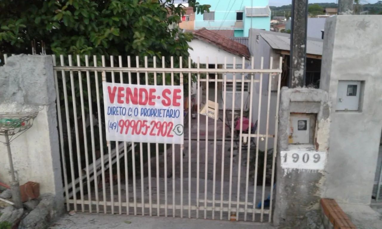 Foto - Araucária - Campina da Barra