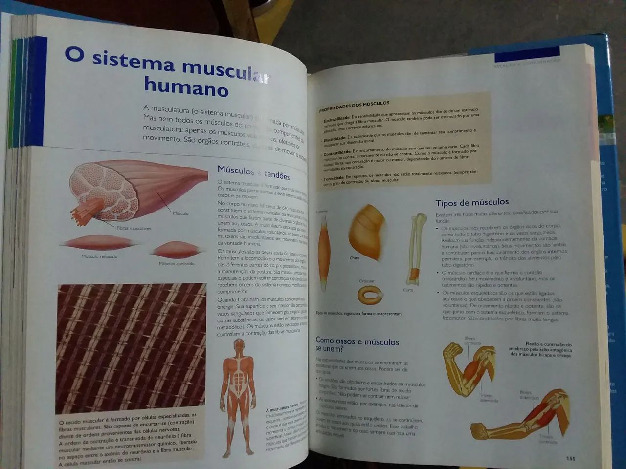 Coleção ESTADÃO - Enciclopédia do Estudante - Foto 3