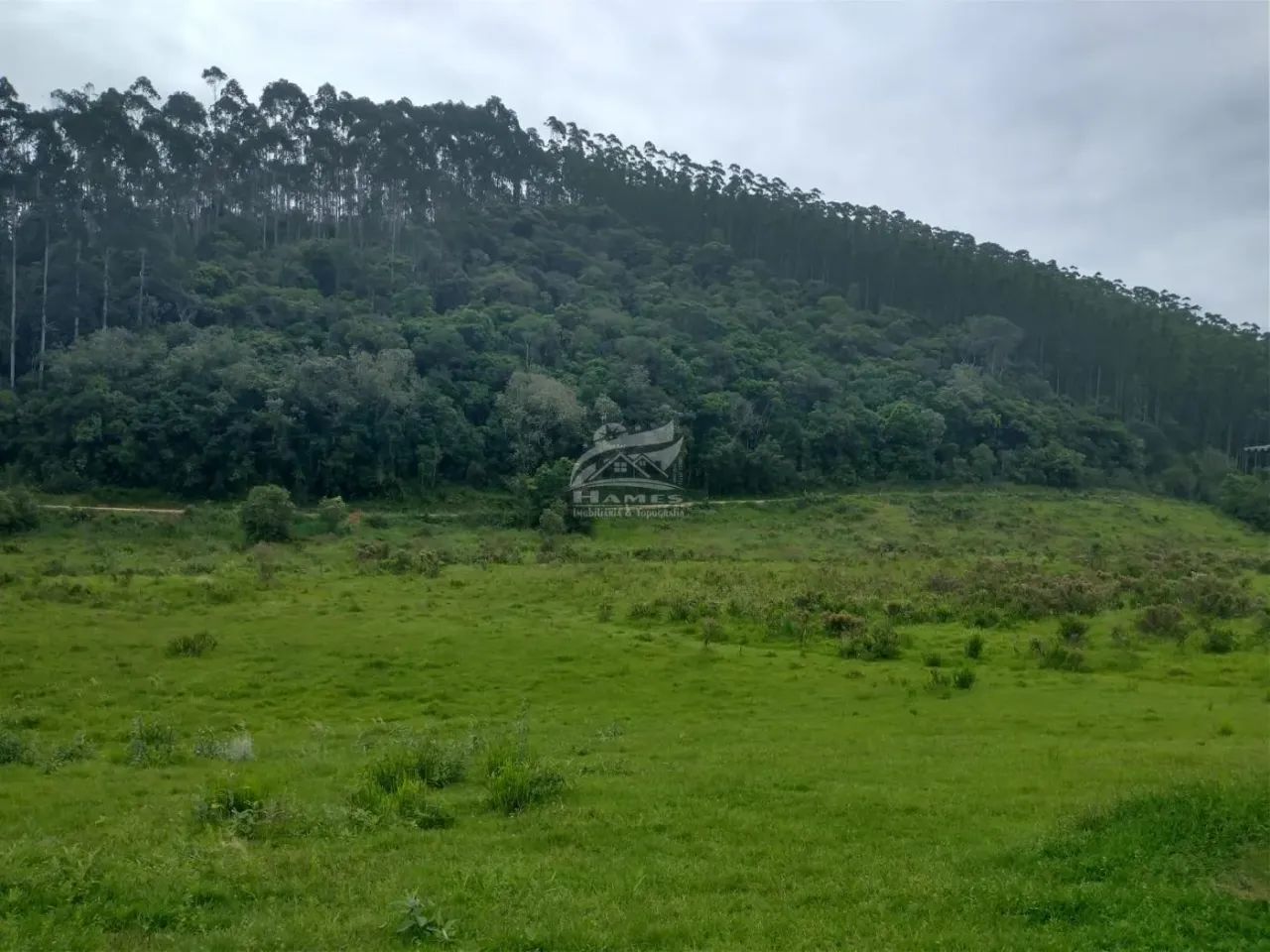 Terreno Rural para Venda em Angelina, TERCEIRA LINHA - Foto 2