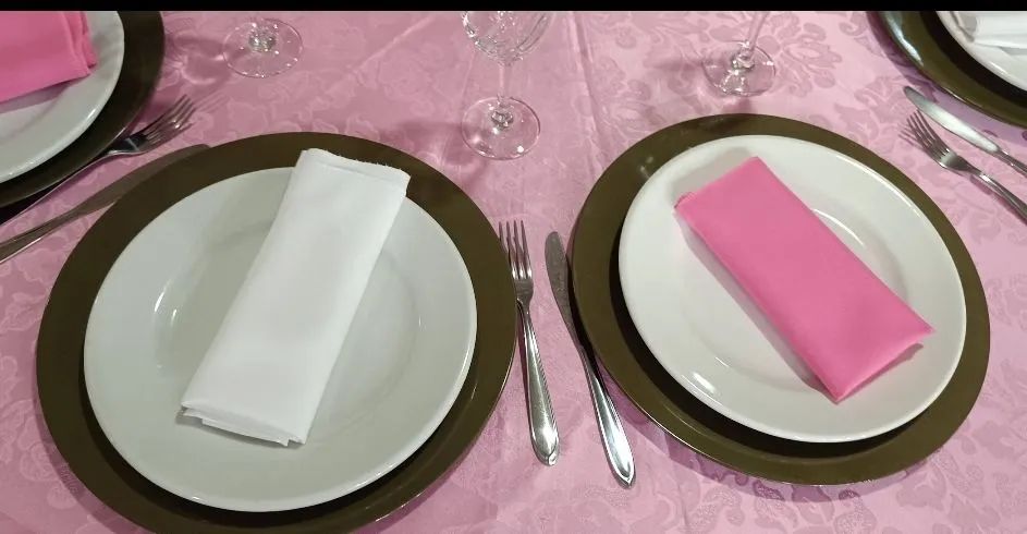 Souplast / guardanapos / pratos  aluguamos para eventos - Foto 4