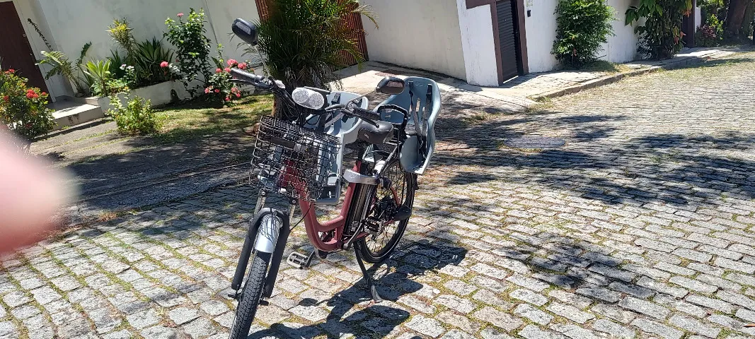 Bicicleta BIKE LEV L PLUS - Com 2 cadeirinhas infantis - Modelo 2023