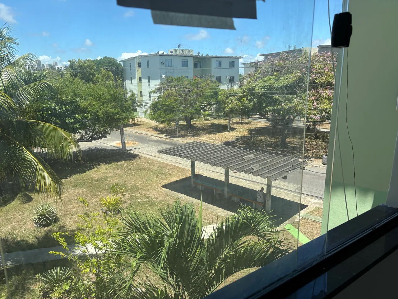 Foto - Aracaju - Aruana