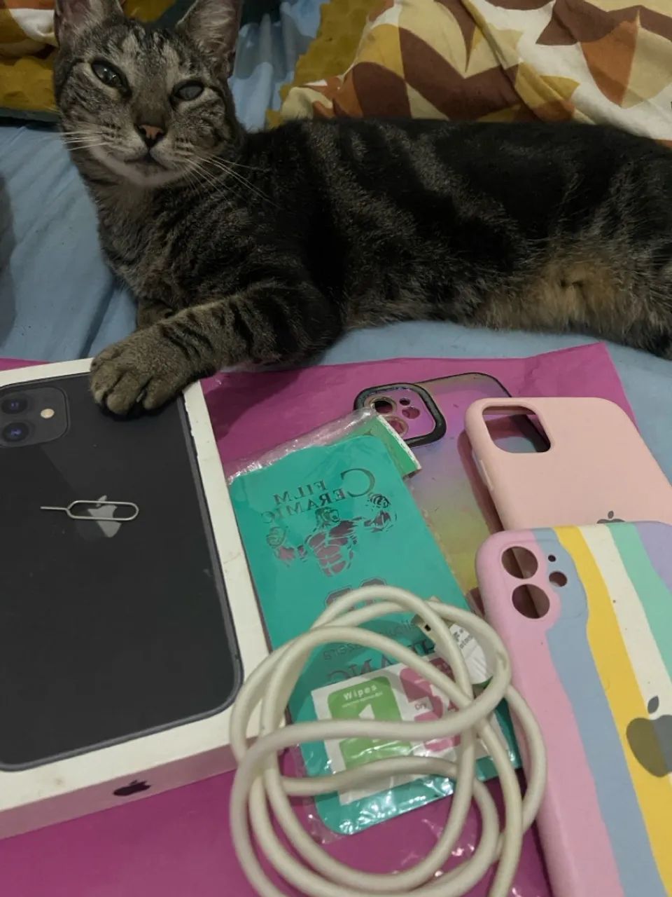 iPhone 11 128G única Dona caixa 81%bat  capa carregador e pelicula - Foto 3