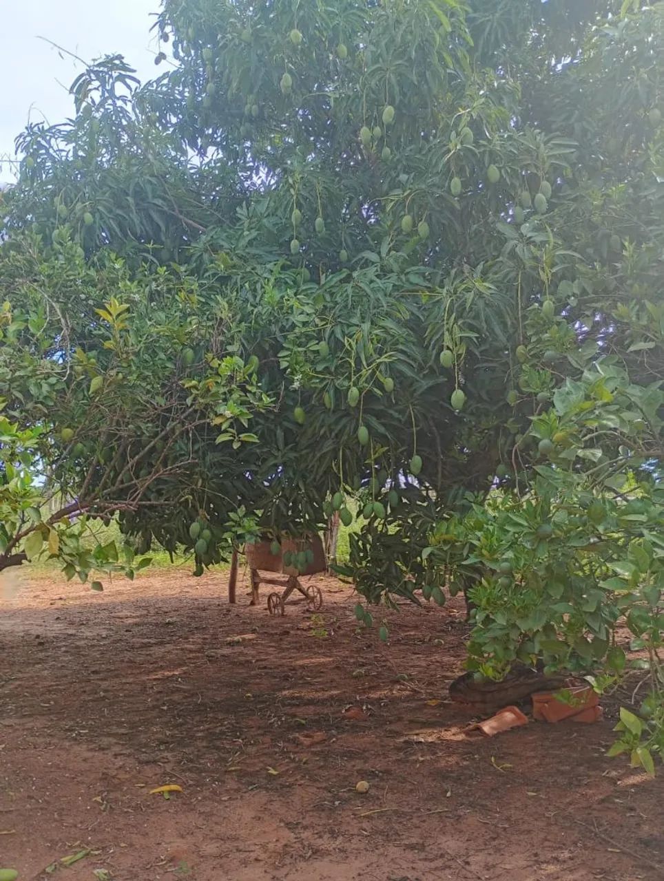 Foto - Campo Grande - Centro Oeste