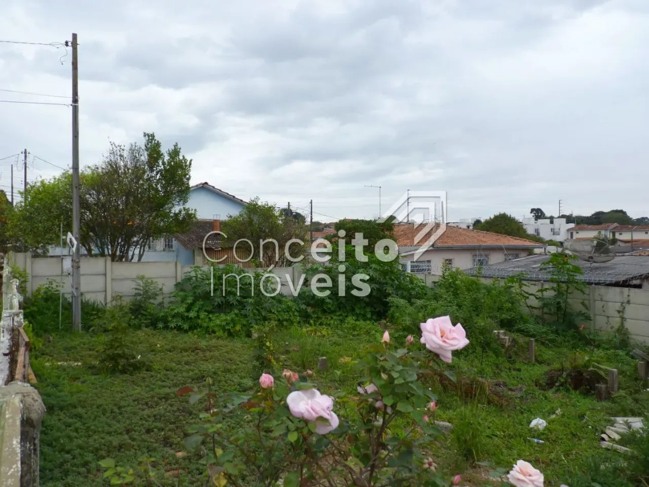 Terreno de Esquina - Uvaranas - Foto 3