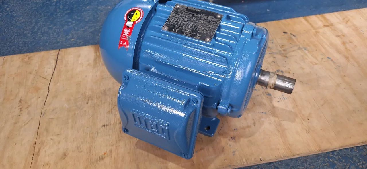 Motor elétrico trifásico 1 cv rpm 1140 baixa rotação 6 polos.