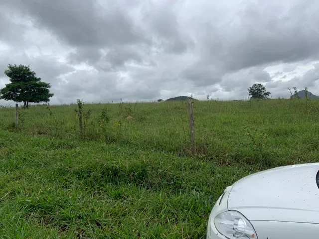 TERRA À VENDA/FAZENDA