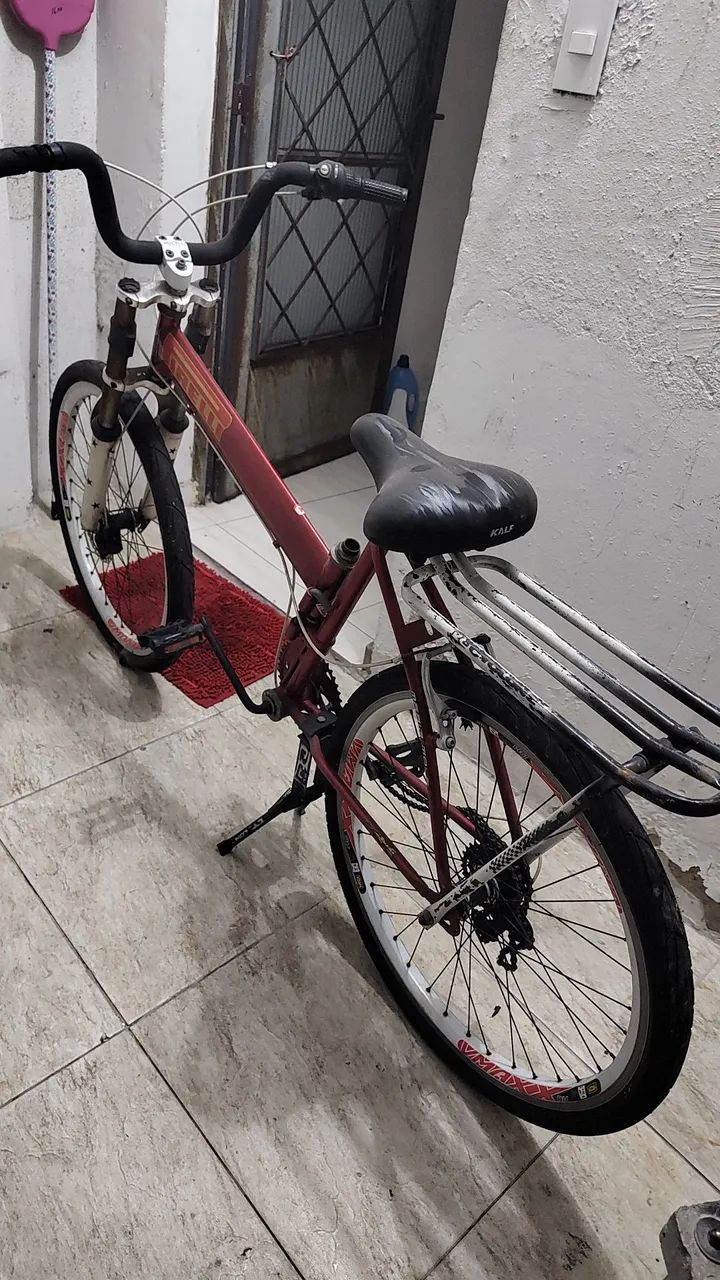 Bicicleta Maria mole