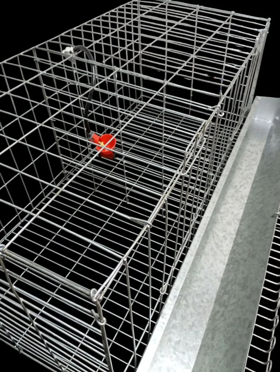 Bateria para Gaiola de Postura de Galinha 